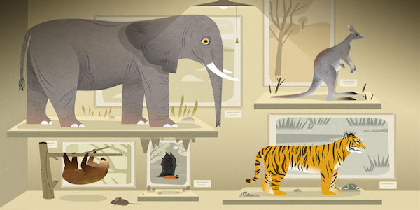 Mammals by Tinybop (App)